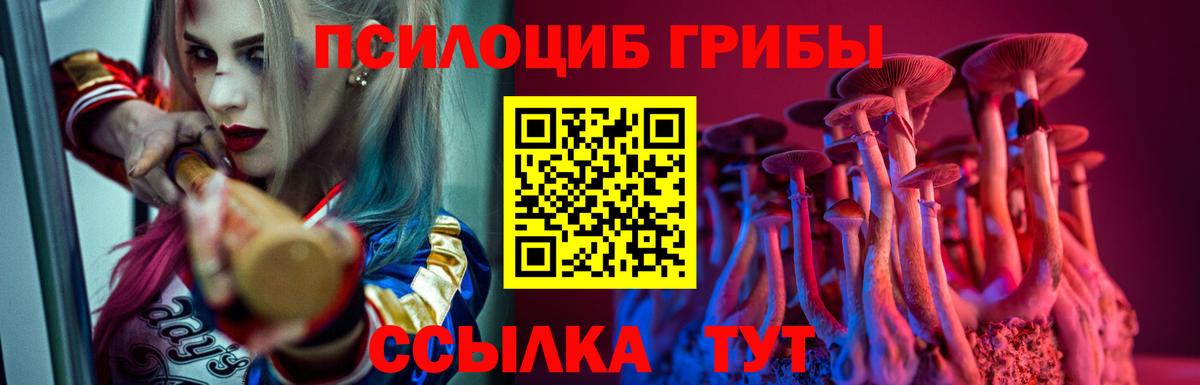 Псилоцибиновые грибы Cubensis Ростов Великий