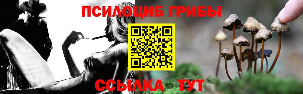 купить наркотики сайты  Вход с VPN  Ростов Великий  Галлюциногенные грибы MAGIC MUSHROOMS 